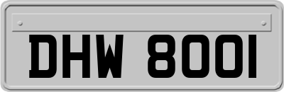 DHW8001