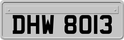DHW8013