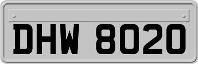 DHW8020