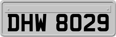 DHW8029