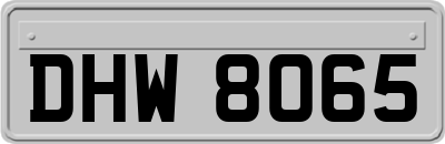 DHW8065