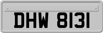 DHW8131