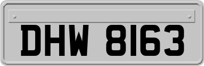 DHW8163