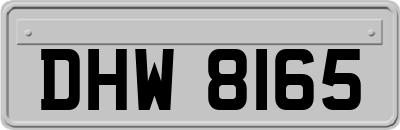 DHW8165