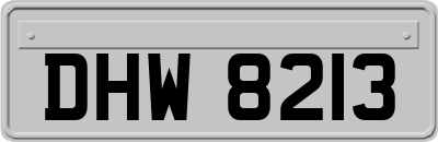 DHW8213