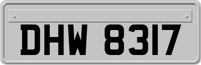 DHW8317