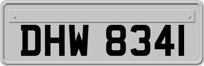 DHW8341