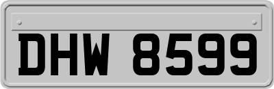 DHW8599