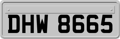 DHW8665