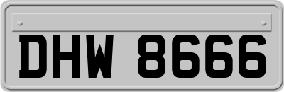 DHW8666
