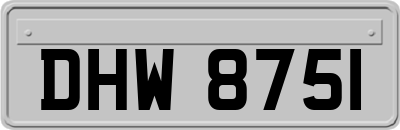 DHW8751