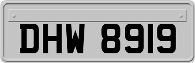 DHW8919