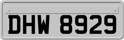 DHW8929