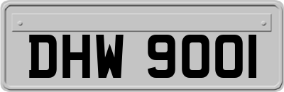 DHW9001