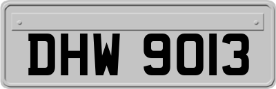 DHW9013