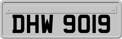 DHW9019