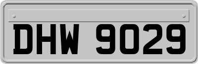 DHW9029