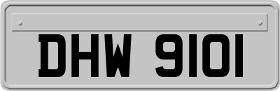 DHW9101