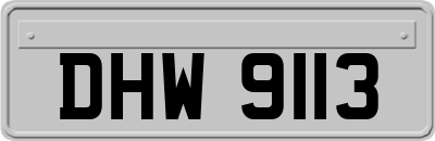 DHW9113