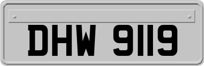 DHW9119