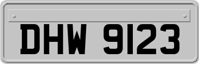DHW9123