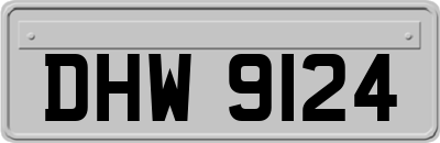 DHW9124