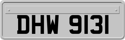 DHW9131