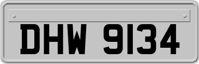 DHW9134