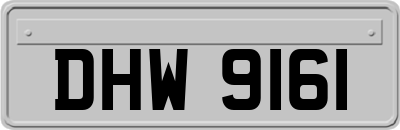 DHW9161
