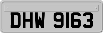 DHW9163