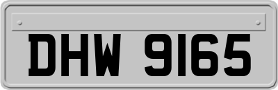 DHW9165