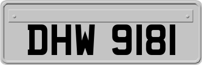DHW9181