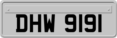 DHW9191