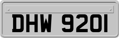 DHW9201