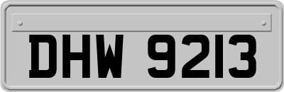 DHW9213