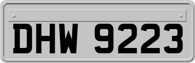 DHW9223