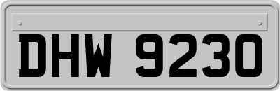 DHW9230