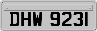 DHW9231