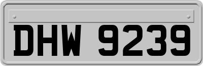 DHW9239