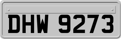DHW9273