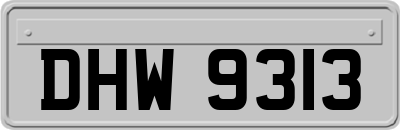 DHW9313