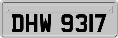 DHW9317