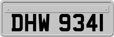 DHW9341