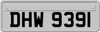 DHW9391