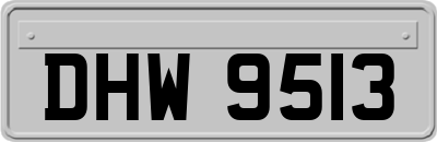 DHW9513