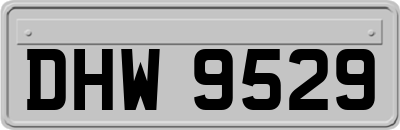DHW9529