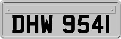 DHW9541