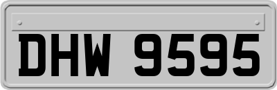 DHW9595