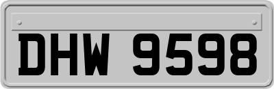DHW9598