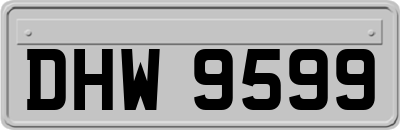 DHW9599